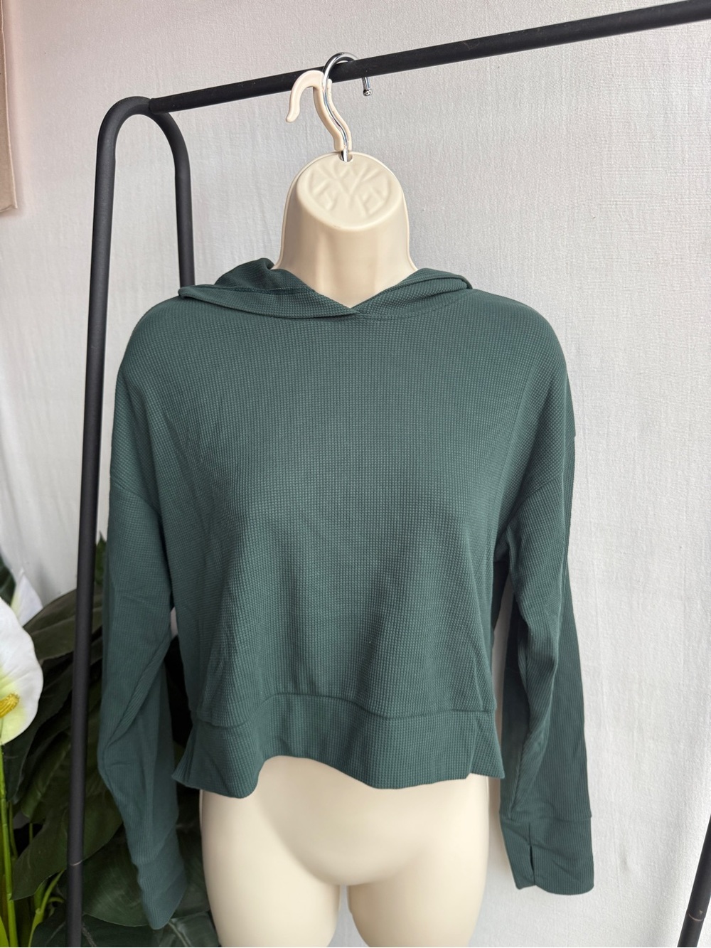 Alida Forrest Green Women's Cropped Waffle Knit Hooded Long Sleeve Top / Size M